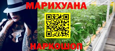 молекула духа Будённовск